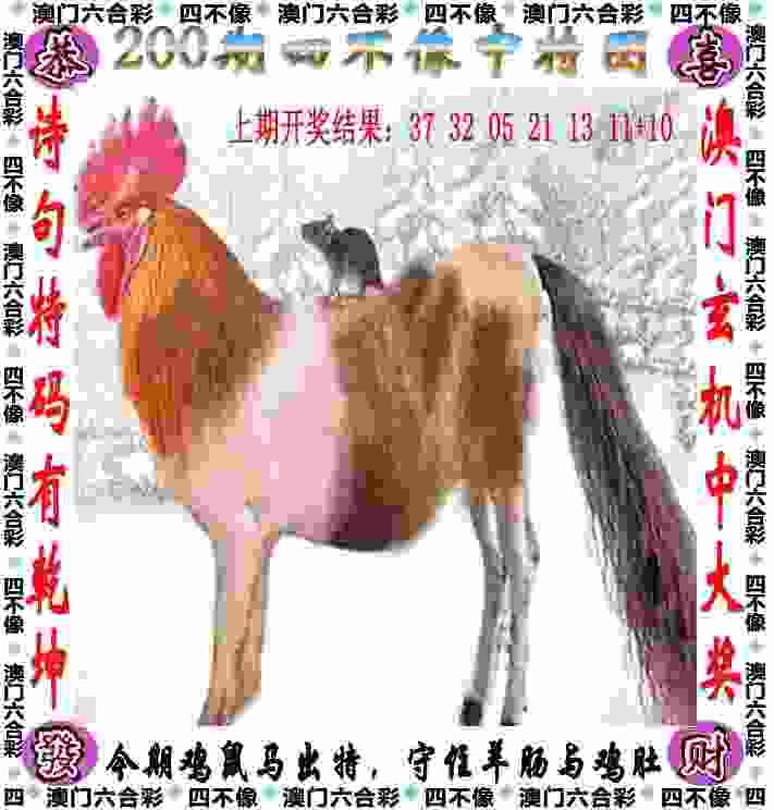 国际铁人三项赛将于10月20日在广德举办